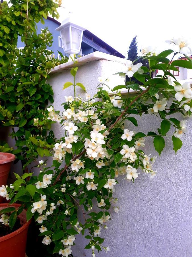 Paradise House Παμούκαλε Εξωτερικό φωτογραφία